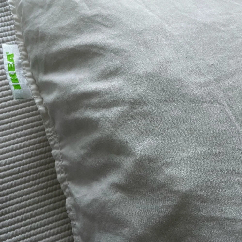2 IKEA Gosa Aster 25 x 25 inch pillows